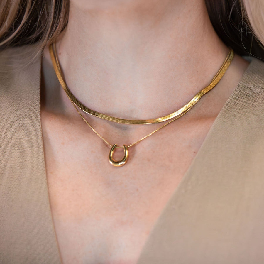 horseshoe necklace