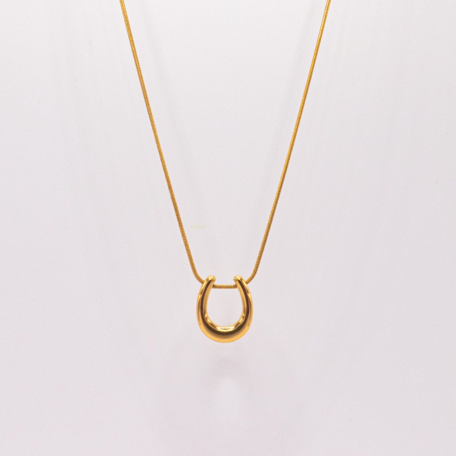 horseshoe necklace