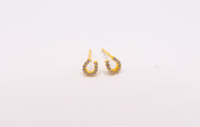 horseshoe earrings