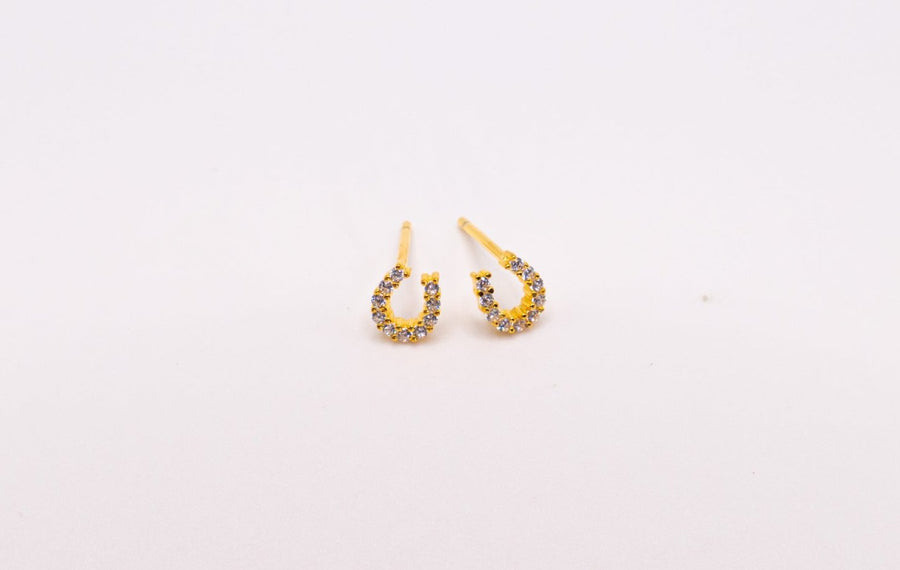 horseshoe earrings