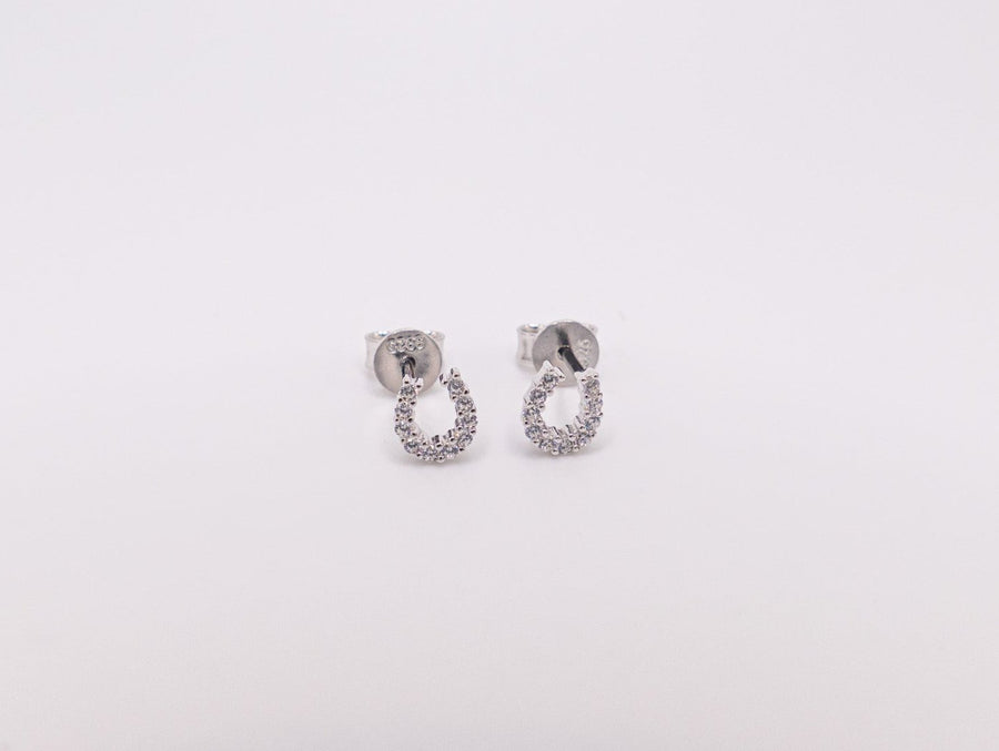 horseshoe earrings