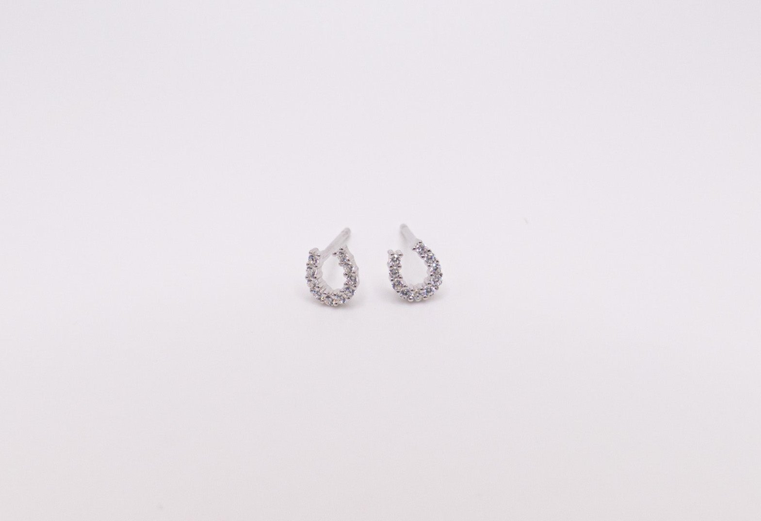 horseshoe earrings