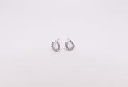 horseshoe earrings