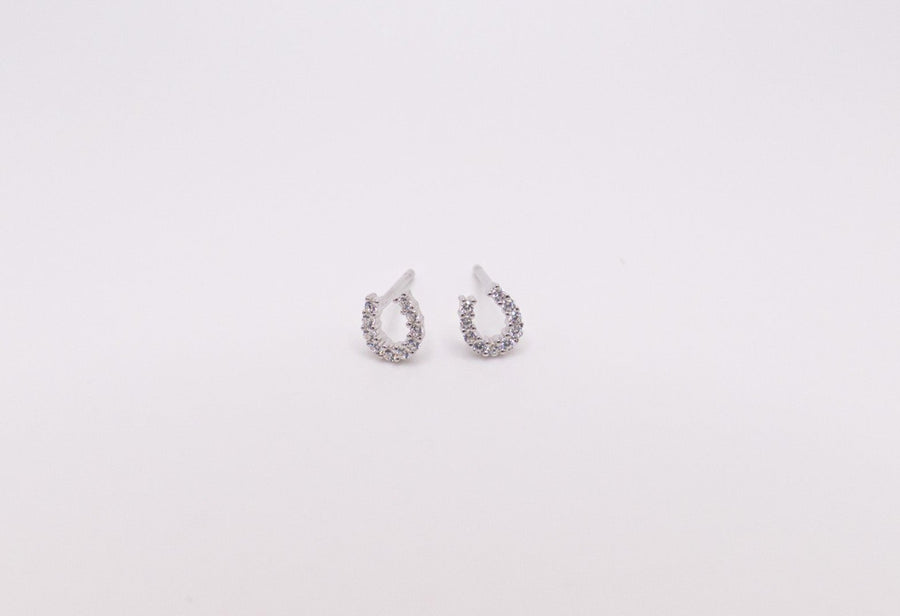 horseshoe earrings